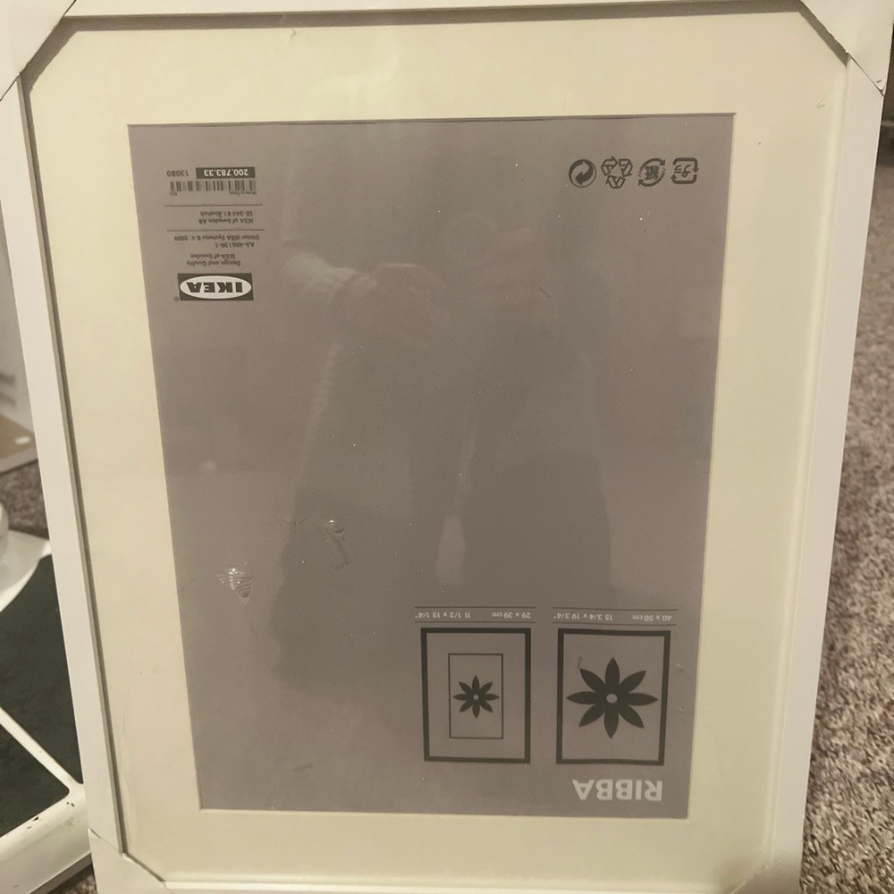 IKEA White RIBBA Frame